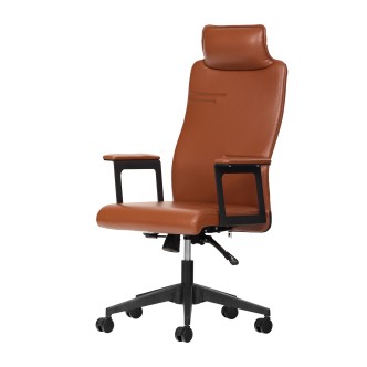 Astra Müdür Koltuğu 