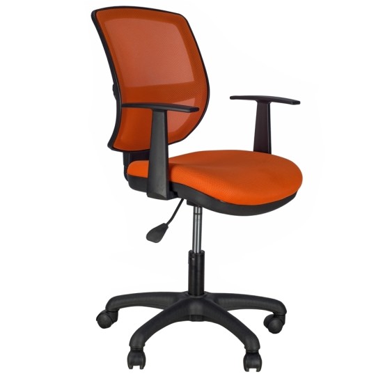 Marsi Fileli Çalışma