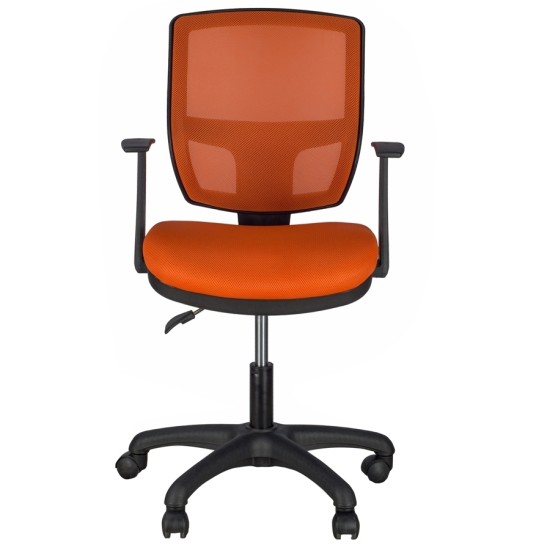 Marsi Fileli Çalışma