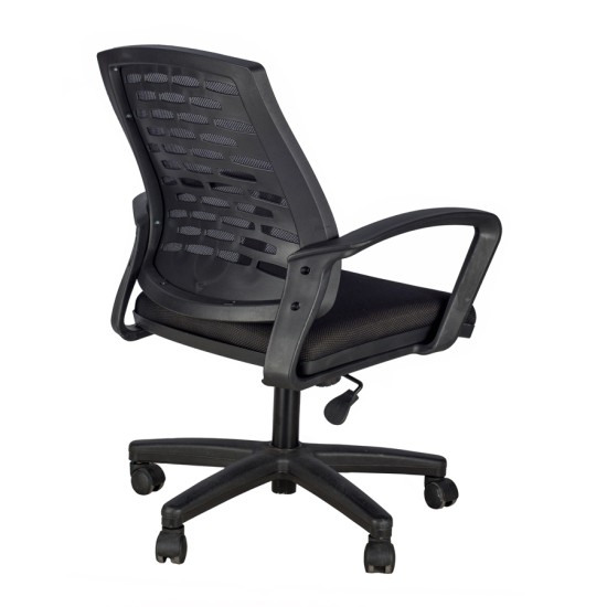 Marsis Fileli Çalışma